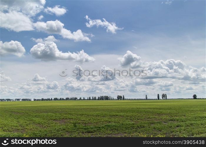 Summer landscape - green field under blue sky