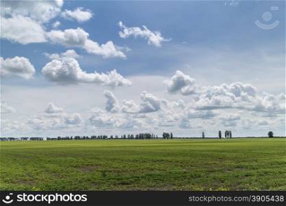 Summer landscape - green field under blue sky