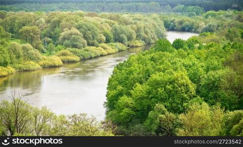 Summer landscape - green forest and quiet river