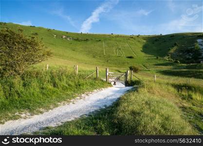 Summer landscape image of ancient chalk carving in hillside Long Man if Wilmington