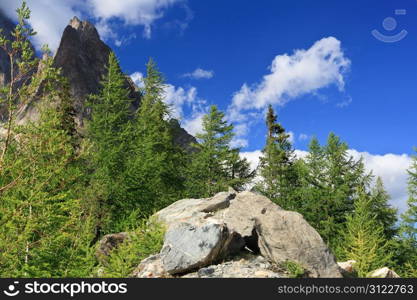 summer landscape in Aosta valley beneath Mont Blanc, Italy