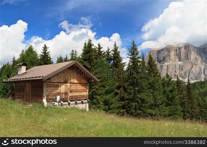summer landscape in Fassa valley with a small barn, Italian Dolomites