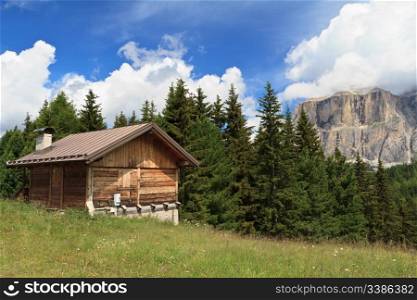 summer landscape in Fassa valley with a small barn, Italian Dolomites