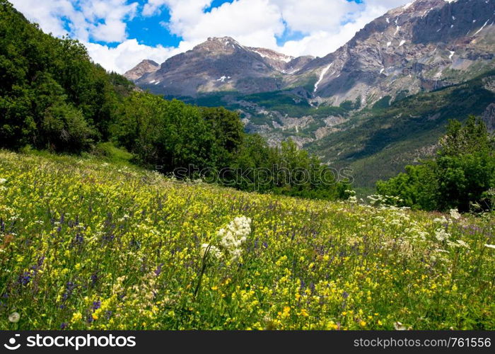 summer landscape in the Hautes Alpes in France