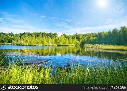 Summer landscape. Lake in the forest