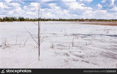 Summer landscape - mine of white quartz sand with reed under beautiful clouds in the blue sky on a clear day.. Summer Landscape With White Sand