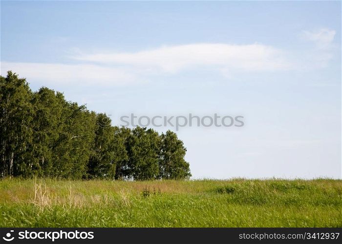 Summer landscape. Near Chany lake, Novosibirsk area, June 2007
