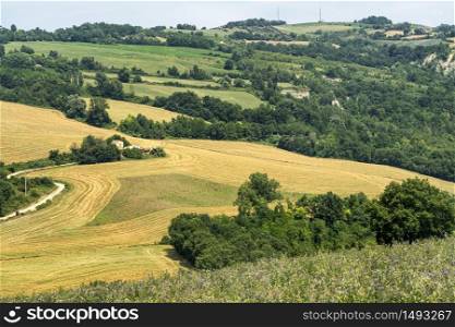 Summer landscape near Meldola, Forli Cesena, Emilia Romagna, Italy