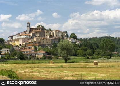 Summer landscape near Monterchi, Arezzo, Tuscany, Italy