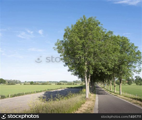 summer landscape near small town of bronkhorst in dutch province of gelderland