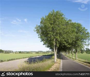 summer landscape near small town of bronkhorst in dutch province of gelderland