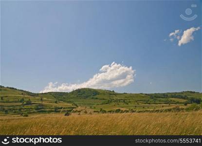 summer landscape (NIKON D80; 23.6.2007; 1/100 at f/10; ISO 100; white balance: Auto; focal length: 22 mm)