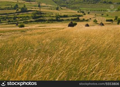 summer landscape (NIKON D80; 23.6.2007; 1/100 at f/6.3; ISO 100; white balance: Auto; focal length: 50 mm)