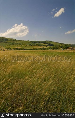 summer landscape (NIKON D80; 23.6.2007; 1/100 at f/8; ISO 100; white balance: Auto; focal length: 18 mm)