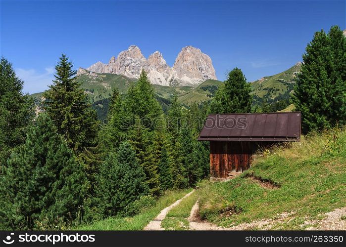 summer landscape of Fassa valley with Sassolungo mount on background.