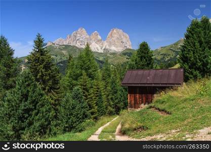 summer landscape of Fassa valley with Sassolungo mount on background.