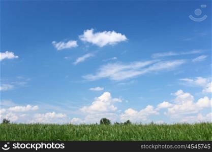 summer landscape of green grass meadow and blue sunny sky