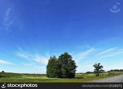 summer landscape. road under blue sky