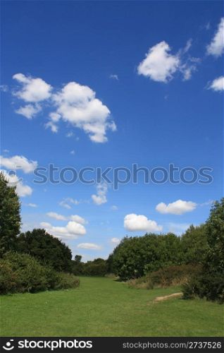 Summer landscape showing green vegetation and blue cloudy sky.