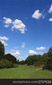 Summer landscape showing green vegetation and blue cloudy sky.