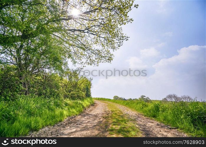 Summer landscape with a dirt road going through a rural countryside scenery