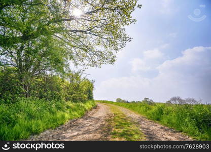 Summer landscape with a dirt road going through a rural countryside scenery