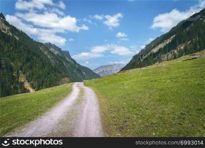Summer landscape with a road through green valleys in the Swiss Alps mountains, on a sunny day. Spring nature with no people, in Switzerland.