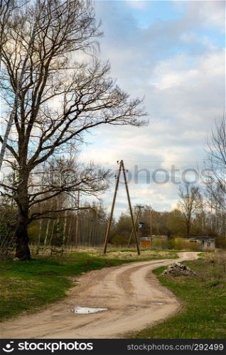 Summer landscape with empty rural road, tree and blue sky.  Classic rural landscape in Latvia. 