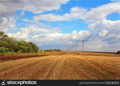 Summer landscape with field and blue sky