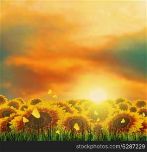 Summer Landscape With Field, Sky, Sun, Sunset, Tree, Grass, Sunflowers And Butterflies