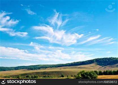 Summer landscape with field, trees on a hill, blue sky and white clouds