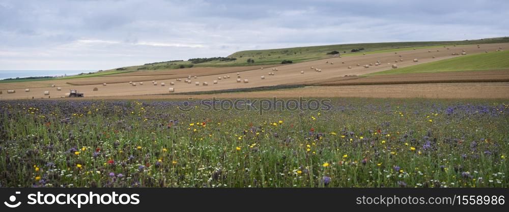 summer landscape with flowers and straw bales in french normany under cloudy sky
