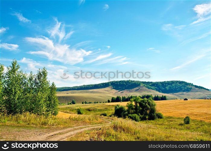 Summer landscape with golden bread field, dirt road and trees, forest on a hill, blue sky and white clouds