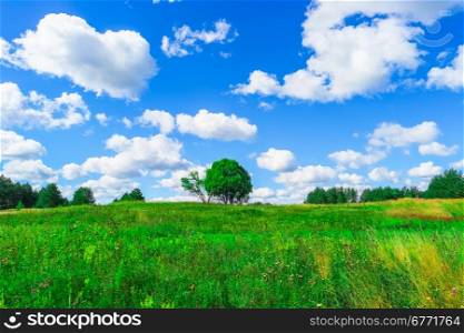 Summer landscape with green grass and blue sky