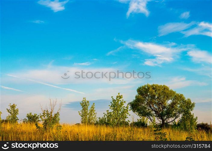 Summer landscape with green grass, and clouds