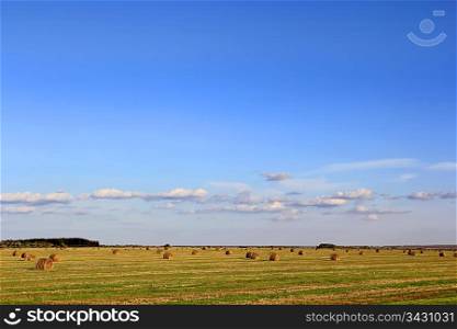 Summer landscape with hay, field and blue sky