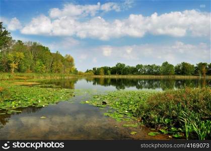summer landscape with lake and blue sky