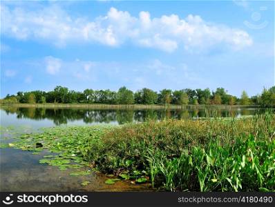 summer landscape with lake and blue sky