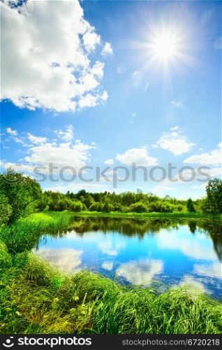 summer landscape with lake at sunny day