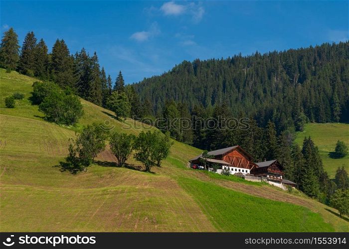 Summer landscape with mountain hut surrounded by greenery and with numerous pine trees, daytime image with a blue sky