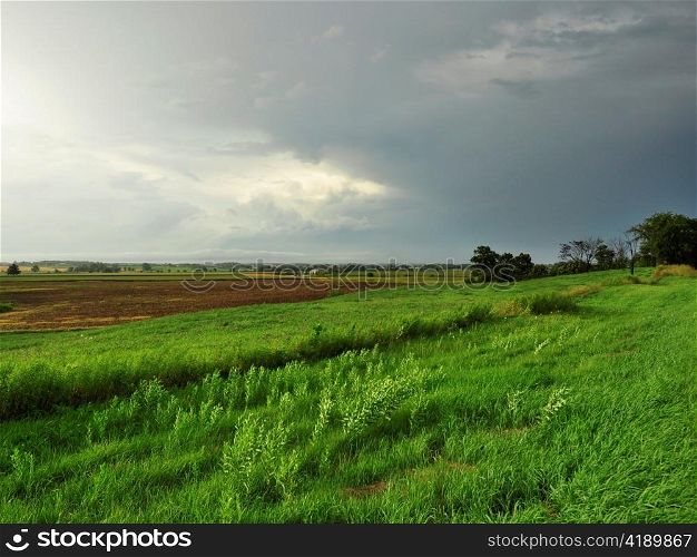summer landscape with rainy weather