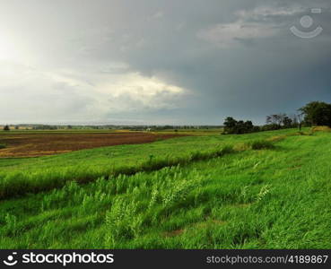 summer landscape with rainy weather