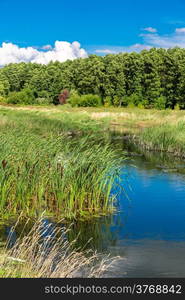 Summer landscape with river and cloudy sky