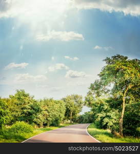 Summer landscape with road, trees, blue sky and sun rays