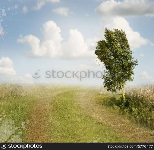 Summer Landscape With Rural Road And A Birch Tree