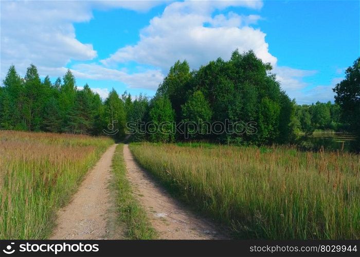 Summer landscape with sky, clouds, trees, grass and road