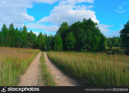 Summer landscape with sky, clouds, trees, grass and road