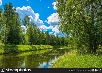 Summer landscape with small river in a Sunny summer day.