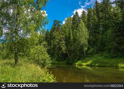 Summer landscape with small river in a Sunny summer day.