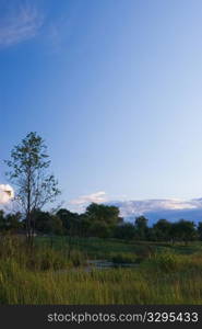 summer landscape with stream and blue sky